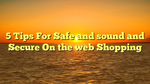 Read more about the article 5 Tips For Safe and sound and Secure On the web Shopping