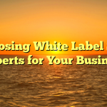 Choosing White Label SEO Experts for Your Business