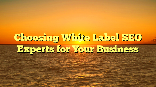 You are currently viewing Choosing White Label SEO Experts for Your Business