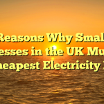 Reasons Why Small Businesses in the UK Must Get the Cheapest Electricity Prices