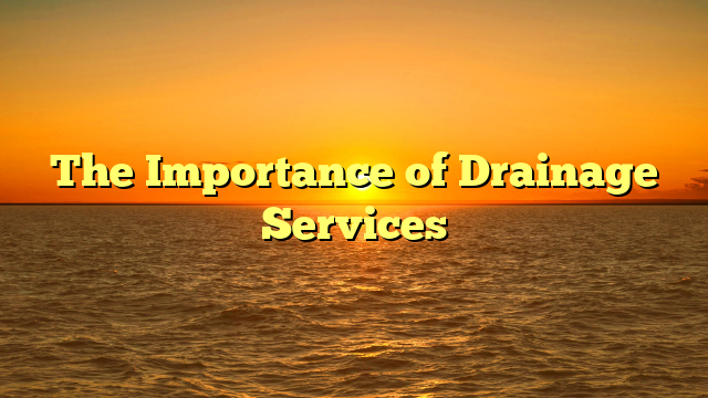 Read more about the article The Importance of Drainage Services