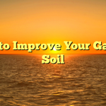 Tips to Improve Your Garden Soil