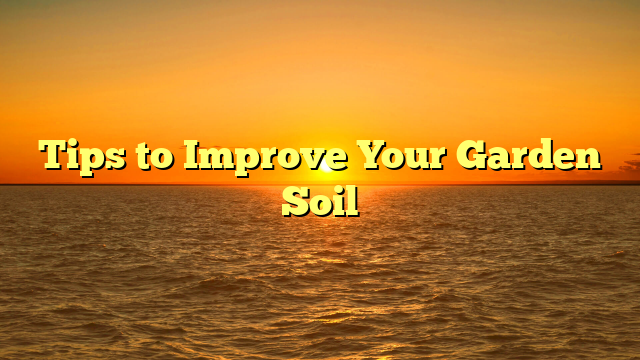 Read more about the article Tips to Improve Your Garden Soil