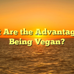What Are the Advantages of Being Vegan?