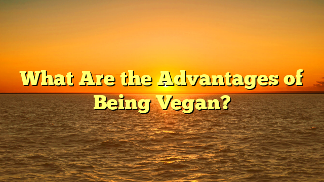You are currently viewing What Are the Advantages of Being Vegan?