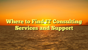 Read more about the article Where to Find IT Consulting Services and Support