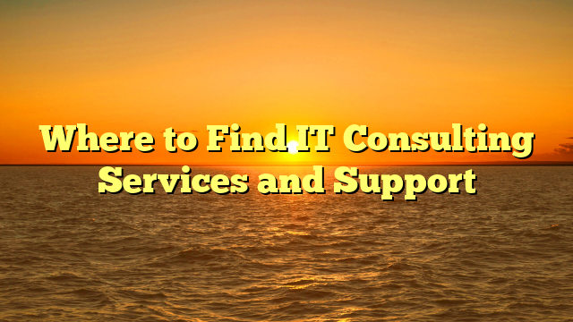 Read more about the article Where to Find IT Consulting Services and Support