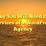 Why You Will Need the Services of a WordPress Agency