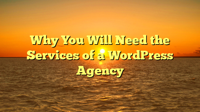 You are currently viewing Why You Will Need the Services of a WordPress Agency